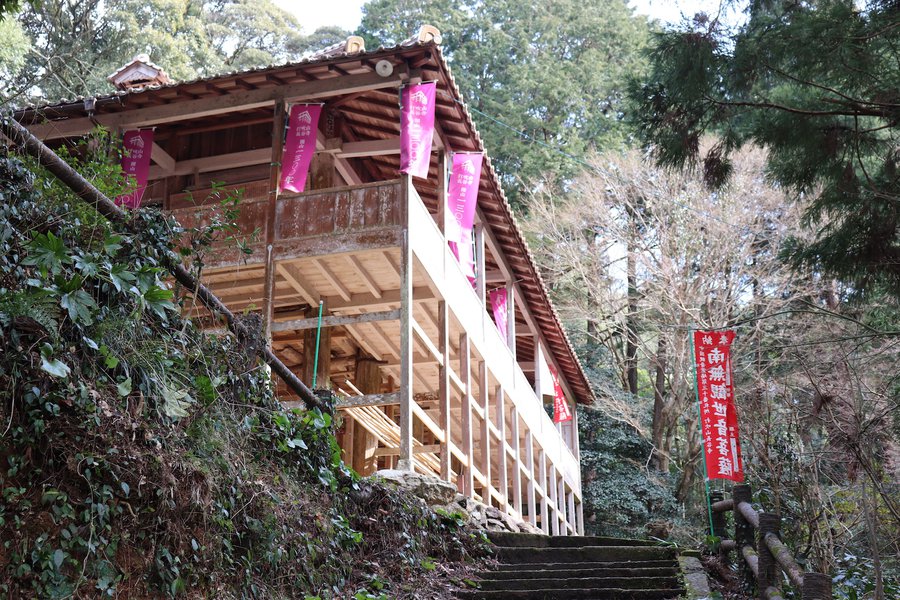 hasedera.JPG